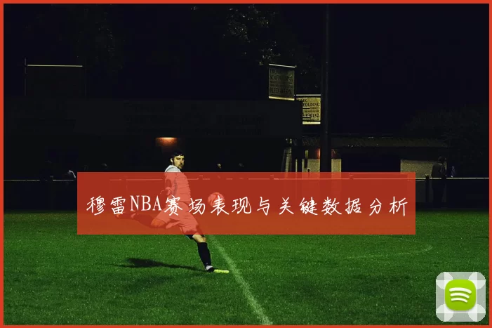 穆雷NBA赛场表现与关键数据分析