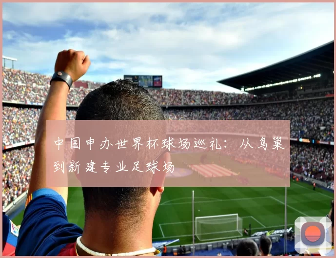 中国申办世界杯球场巡礼：从鸟巢到新建专业足球场