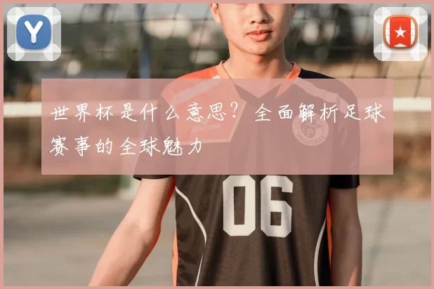 世界杯是什么意思？全面解析足球赛事的全球魅力