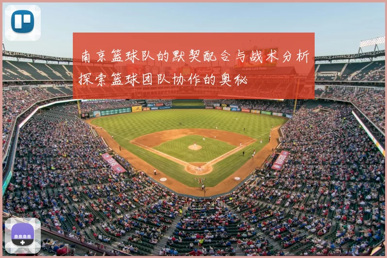 南京篮球队的默契配合与战术分析探索篮球团队协作的奥秘