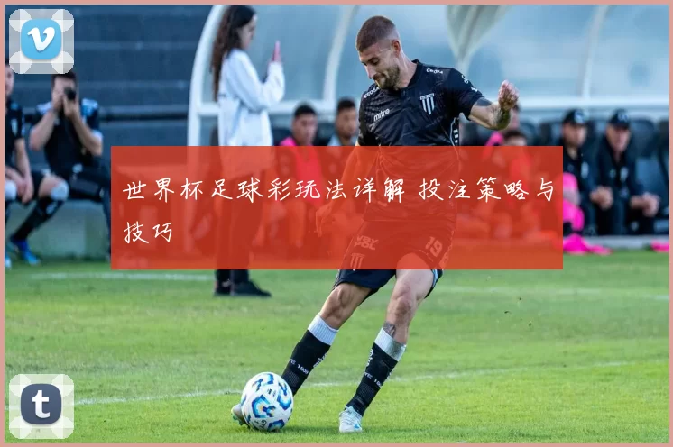 世界杯足球彩玩法详解 投注策略与技巧