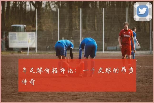 年足球价格评论：一个皮球的昂贵传奇