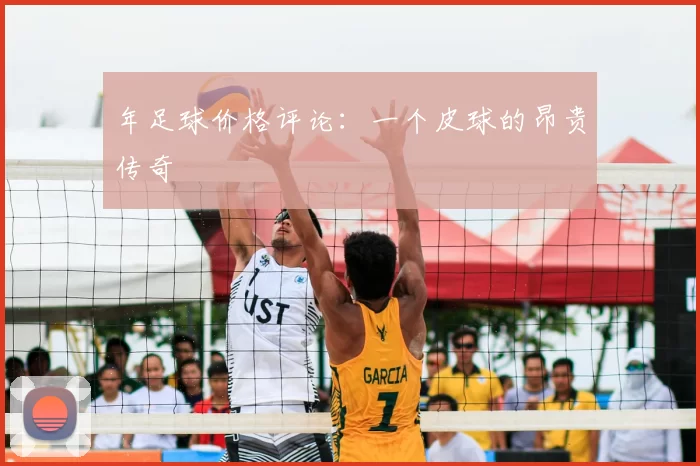 年足球价格评论:一个皮球的昂贵传奇