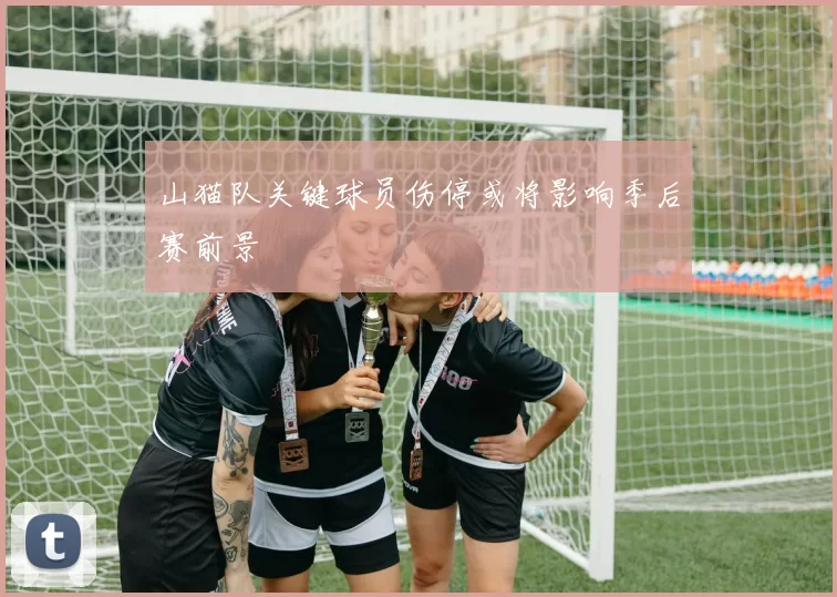山猫队关键球员伤停或将影响季后赛前景