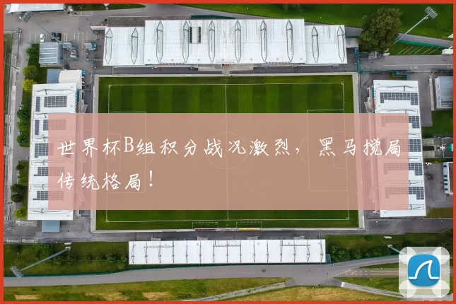 世界杯B组积分战况激烈,黑马搅局传统格局!