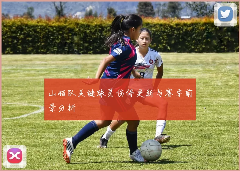 山猫队关键球员伤停更新与赛季前景分析
