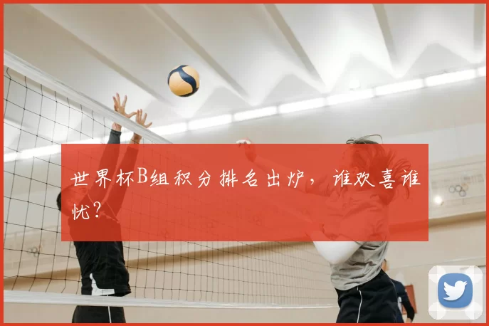 世界杯B组积分排名出炉，谁欢喜谁忧？