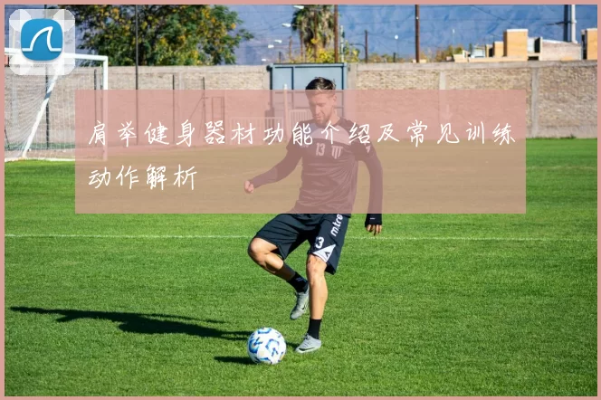 肩举健身器材功能介绍及常见训练动作解析