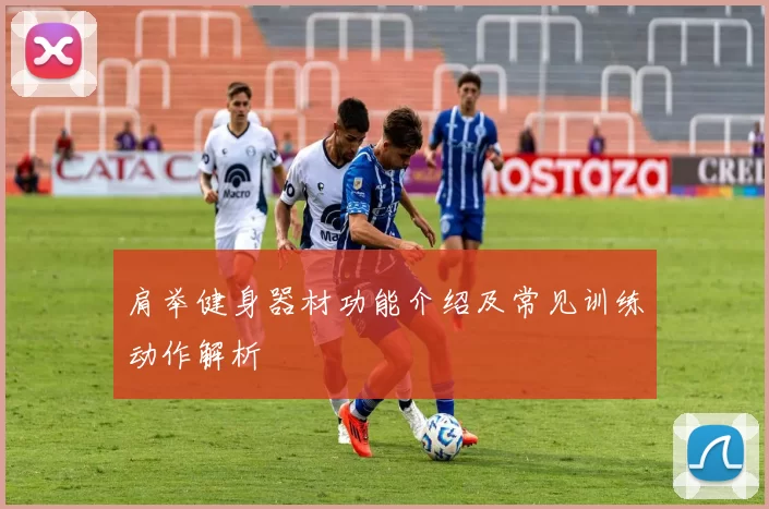 肩举健身器材功能介绍及常见训练动作解析