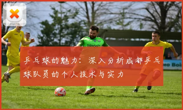 乒乓球的魅力：深入分析成都乒乓球队员的个人技术与实力