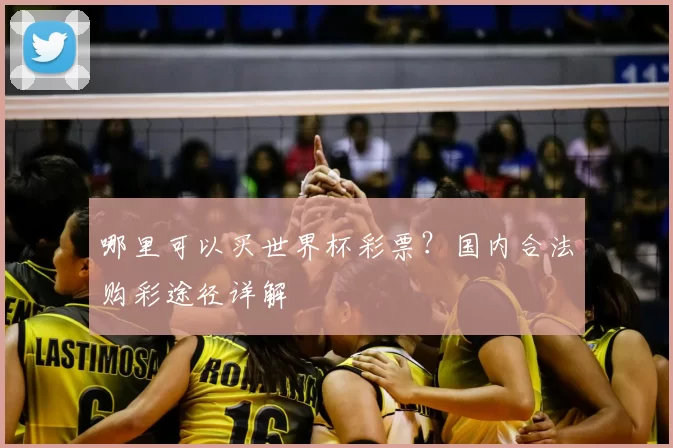 哪里可以买世界杯彩票？国内合法购彩途径详解